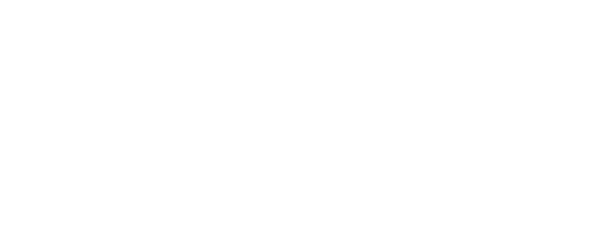 westernexp logo